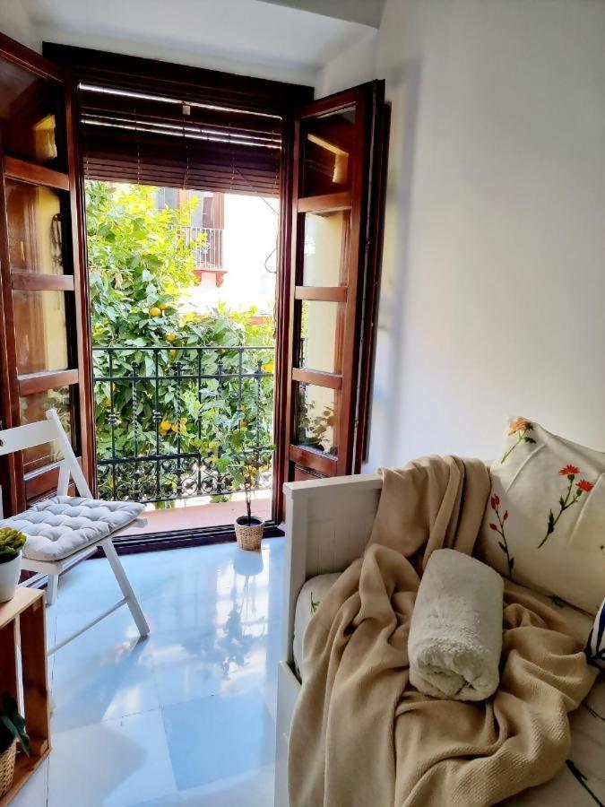 Hostfy Mercado De Triana 세비야 외부 사진